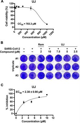 Ugonin J Acts as a SARS-CoV-2 3C-like Protease Inhibitor and Exhibits Anti-inflammatory Properties